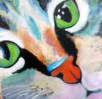 Katze